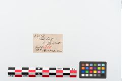 Etikett zu Bronzegürtelhaken (NHMW-PRAE-024319)